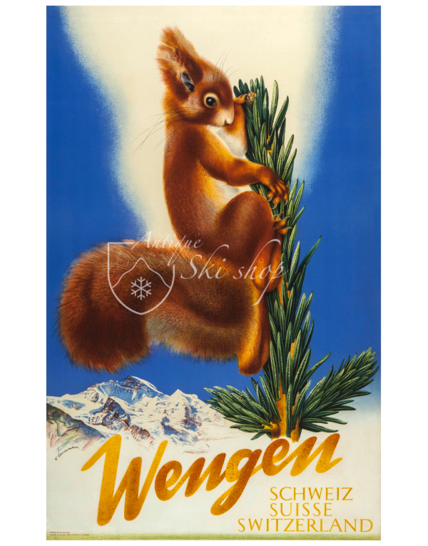 WENGEN (Squirell) WENGEN (Squirell)