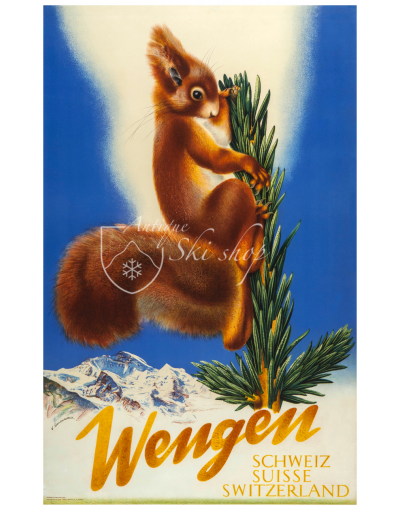 WENGEN (Squirell)