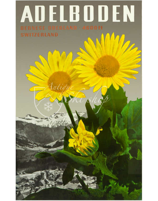 ADELBODEN (FLOWERS) ADELBODEN (FLOWERS)