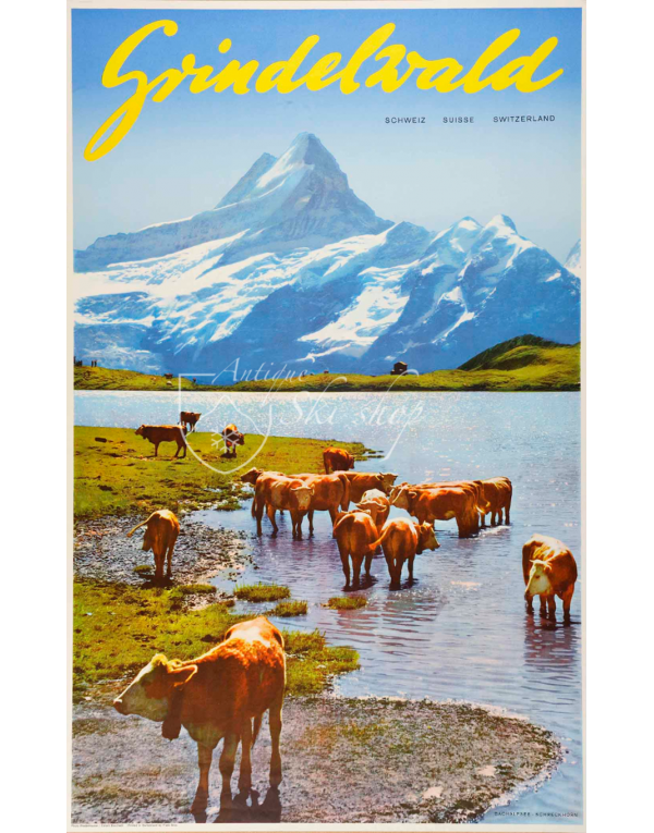 GRINDELWALD (Cows) GRINDELWALD (Cows)