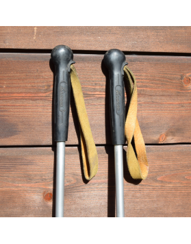 Vintage Aluminium "HIVERNA" Ski Poles