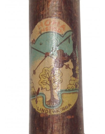 Antique ski poles