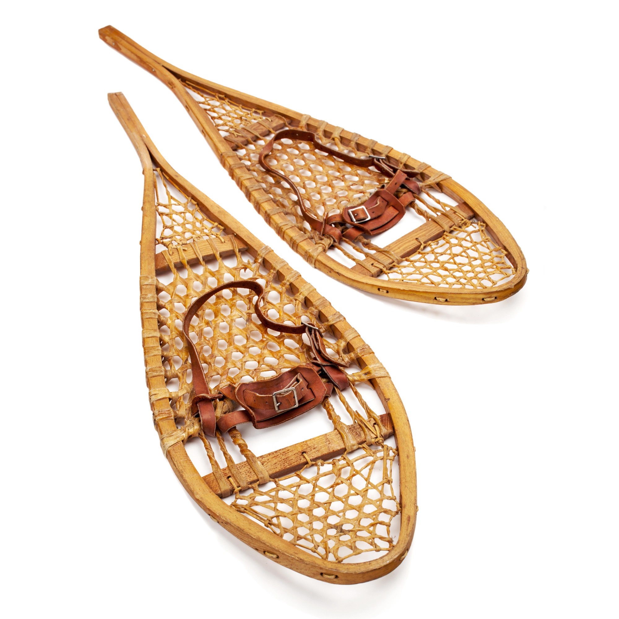 Snowshoes